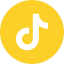 Tiktok logo